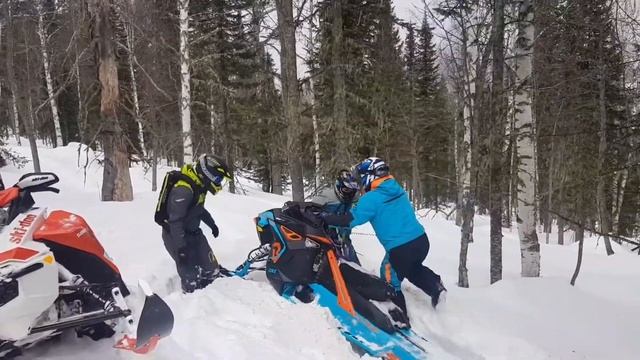 Lynx Boondocker видел. смотреть онлайн