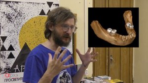 Новости науки. Сенсация! Найдена челюсть Денисовского человека