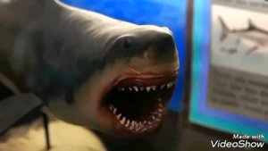 Мозазавр гоффмана против мегалодона.