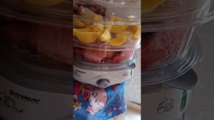 первое включение пароварки, начинаем готовить рыбу с картошкой в пароварке, Endever 170