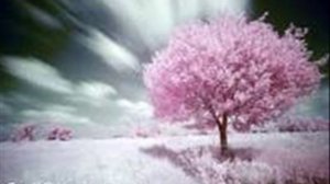 it is you-dana glover (83%)