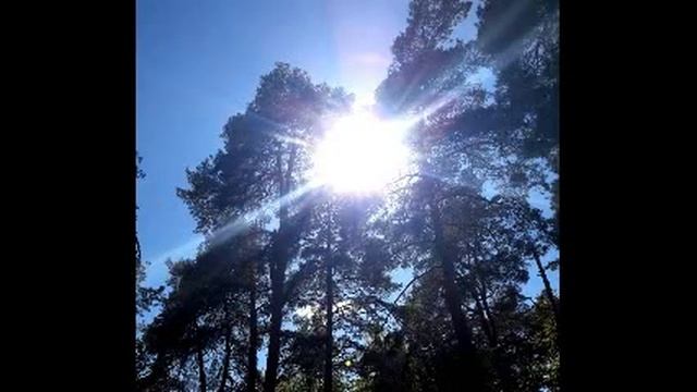 Там, где торопятся найти... Читает автор Демирина. Where they are in a hurry to find смотреть онлайн