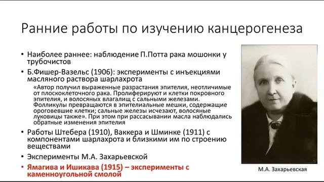 Разбор монографии патологоанатома В.Г. Гаршина (предрак; метаплазия)