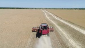 Работа жатки Дон Мар 9 м в Быковском районе Волгоградской области