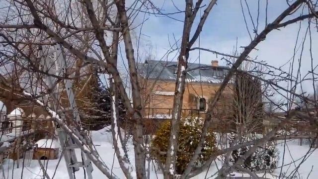 Обрезка плодовых деревьев в Самаре