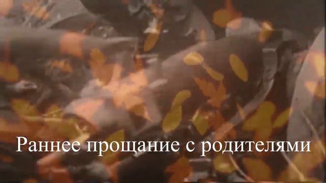 25 03 20 Профессор и волшебник мистер Толкин подготовили сотрудники Библиотеки им Н А Островско смотреть онлайн