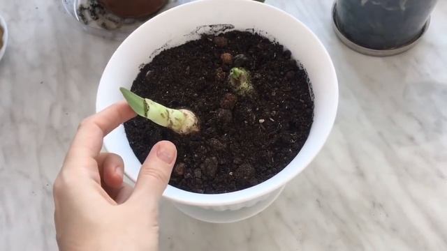 VLOG КАК ПОДГОТОВИТЬ РЕБЁНКА к РОЖДЕНИЮ второго?? смотреть онлайн