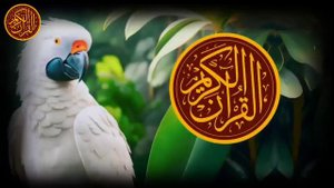 утренний дуа. дуа каждое утро