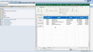 Automatizando o sistema SAP com VBA