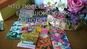 Что посеять в марте. Однолетники на рассаду. Большой обзор цветов + слайд-шоу.