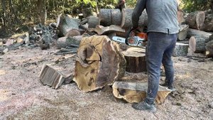 STIHL MS361 v MS462 C-M???