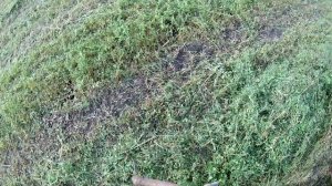 Уборка Сена С Помощью Мотоблока