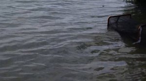 Рыбалка и отдых на реке Дон компания увеличивается! Рыбалка станица Ольгинская ! День второй !