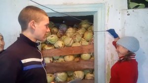 Чистка капусты