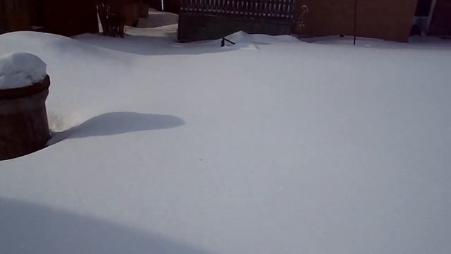 ПЕРВЫЙ ВЫЕЗД НА ДАЧУ В 2022 году смотреть онлайн