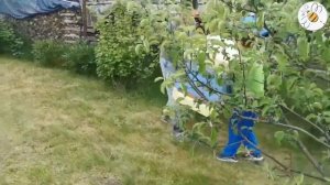 Подставка для ульев