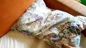 Как устроить пижамную вечеринку? ??