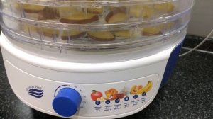 Работа сушилки для овощей и фруктов Великие Реки Волга-8