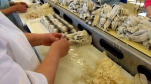 рыбообработка Пярну