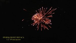FP- B306 Полет пегаса