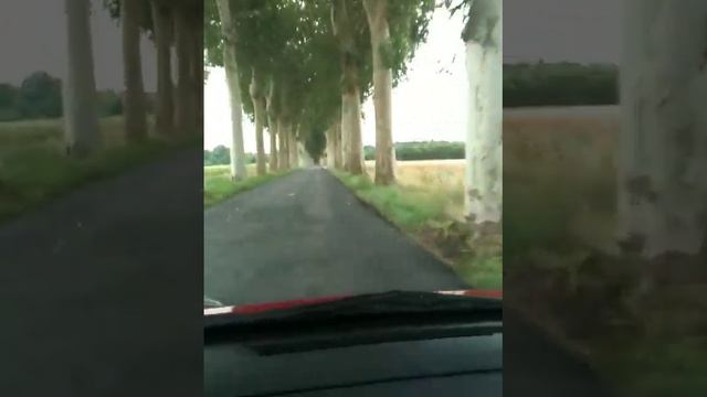 Longest Driveway Ever. Chateau Vaux le Vicomte.