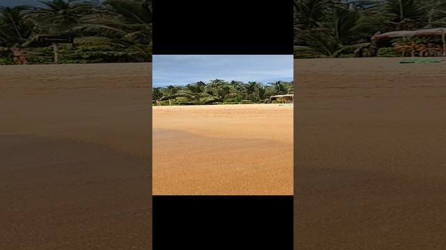 Шри-Ланка. Прозрачность и цвет воды в океане и песок.
Шри Ланка за 58 тысяч рублей. Канал Тутси влог