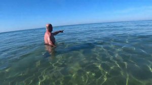 ДЕНЬ ДЕЛЬФИНОВ! ТАКОГО ПРОЗРАЧНОГО МОРЯ ВЫ НЕ ВИДЕЛИ! СТАНИЦА БЛАГОВЕЩЕНСКАЯ