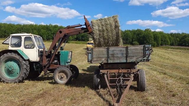 Сенокос 2021 смотреть онлайн