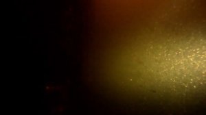 погружение на оз. Копанское. diving on lake Kopansky