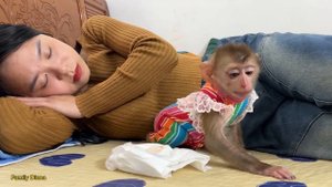 monkey Diana pooped and didn't want to bother mother change diaper when mom was sick