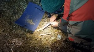 Огниво. Разведение костра с помощью огнива | КомбатPROтуризм