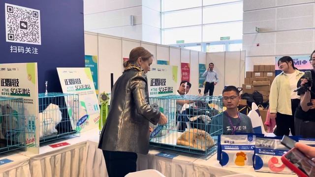 Самые красивые кошки мира. Китай. смотреть онлайн