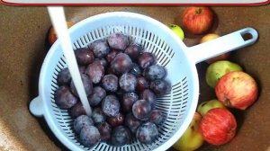 Компот из яблок, сливы и кизила на зиму Без стерилизации и варки сиропа!