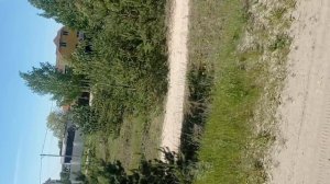 поездка с классом