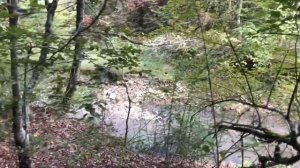 По грибы в окрестностях Геленджика с Victorinox Huntsman. Огромные грузди.