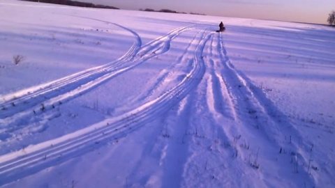 Мотособака.
