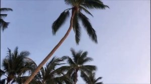 Как добраться до острова Самуи (Samui) из Бангкока. ч 3. Ко Самуи.