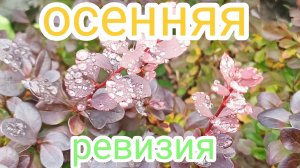 Наличие кормов в зиму. Пчеловодство.