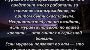 К чему снятся муравьи