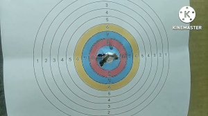 МР 53  соревнования по стрельбе "Батл"  на 10метров