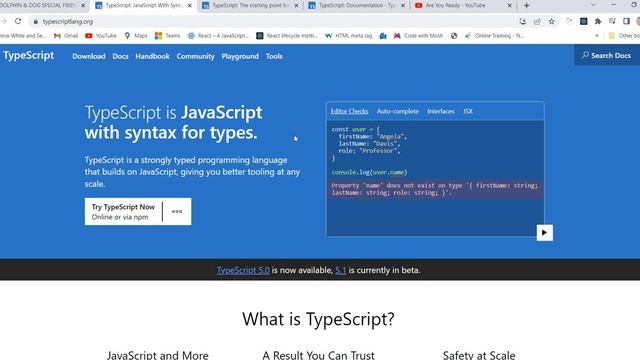 TypeScript Tutorial Teaser #typescript #typescripttutorial