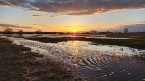 Дачный домик с новыми окнами! Странные дыры на участке! Слушаем пение птиц на даче.
