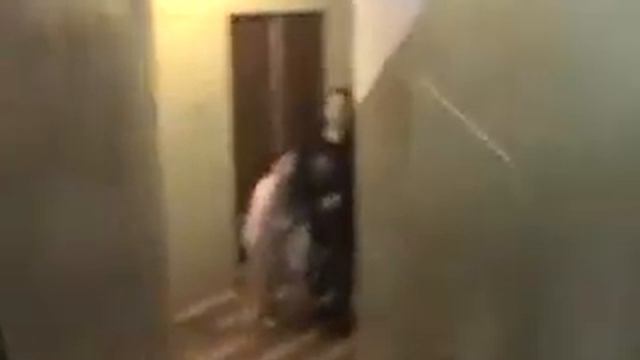 семья в лесу смотреть онлайн