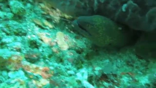 Bali - Padang Bai смотреть онлайн