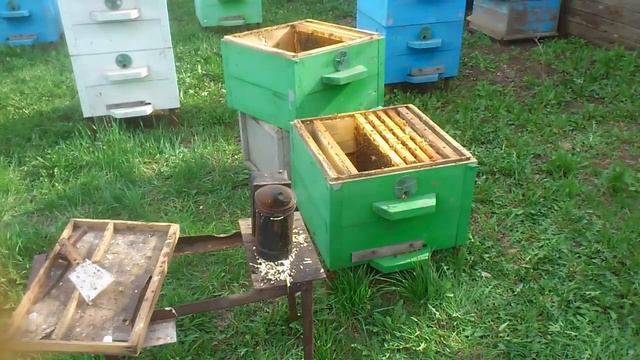 Действия со слабой пчелиной семьёй весной смотреть онлайн