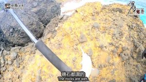 什麼？最強的魚在這裡！【綠島GT】