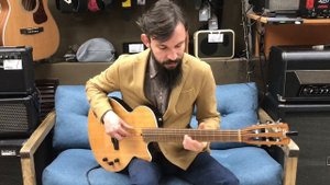 Cort Sunset Nylectric