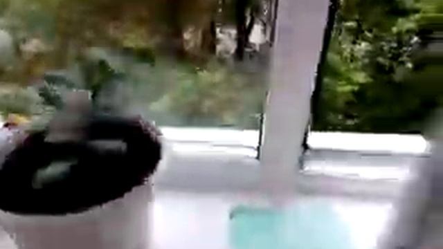 Выкинул телевизор из окна смотреть онлайн