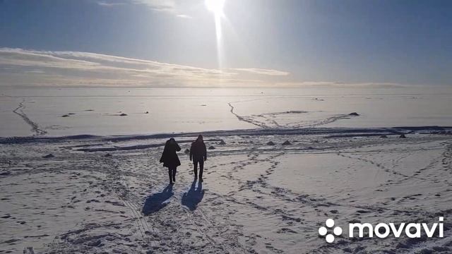 Побережье Финского залива смотреть онлайн