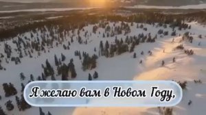 Я желаю вам в Новом Году